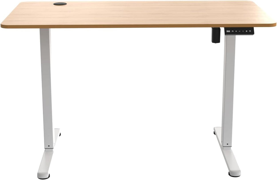 47.2 x 23.6 in Electric Height Adjustable Sit-Stand Desk