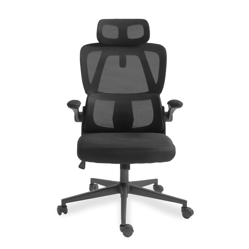Ergonomic Mesh Office Chair