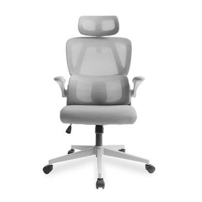 Ergonomic Mesh Office Chair